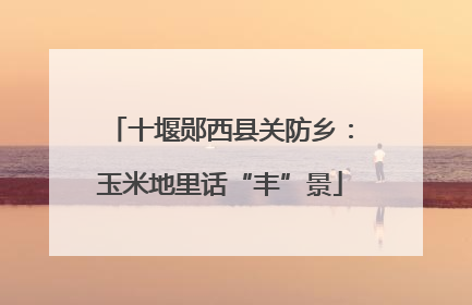 十堰郧西县关防乡：玉米地里话“丰”景