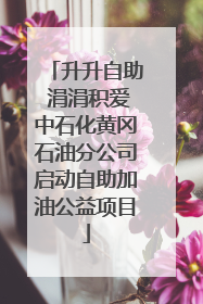 升升自助 涓涓积爱中石化黄冈石油分公司启动自助加油公益项目