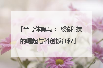 半导体黑马：飞骧科技的崛起与科创板征程
