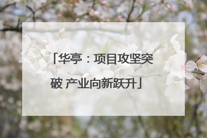 华亭：项目攻坚突破 产业向新跃升