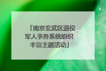 南京玄武区退役军人事务系统组织丰富主题活动