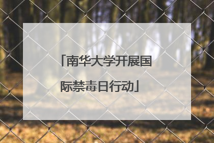 南华大学开展国际禁毒日行动