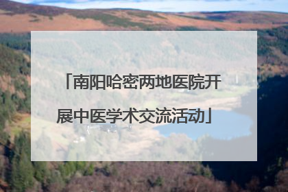 南阳哈密两地医院开展中医学术交流活动