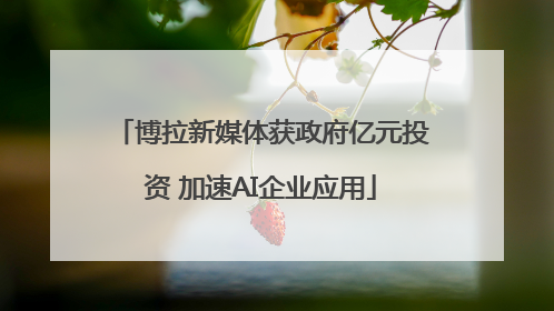 博拉新媒体获政府亿元投资 加速AI企业应用