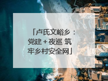 卢氏文峪乡：党建＋夜巡 筑牢乡村安全网