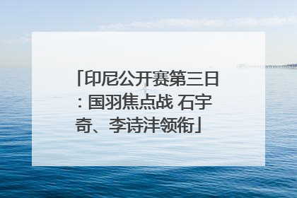 印尼公开赛第三日：国羽焦点战 石宇奇、李诗沣领衔