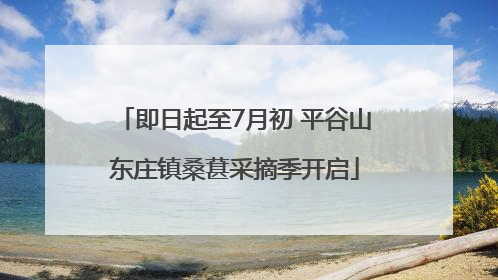 即日起至7月初 平谷山东庄镇桑葚采摘季开启