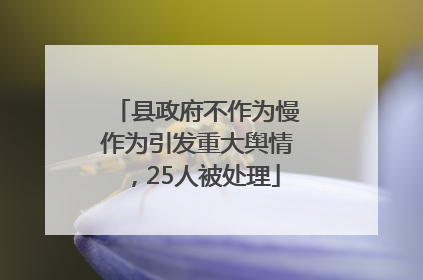 县政府不作为慢作为引发重大舆情，25人被处理