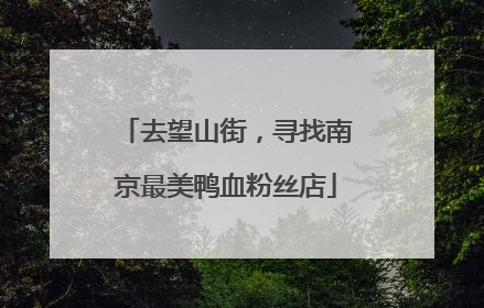 去望山街，寻找南京最美鸭血粉丝店