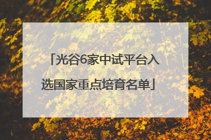 光谷6家中试平台入选国家重点培育名单