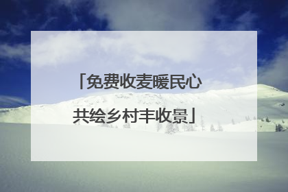 免费收麦暖民心 共绘乡村丰收景