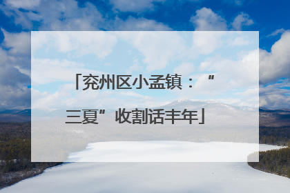 兖州区小孟镇：“三夏”收割话丰年