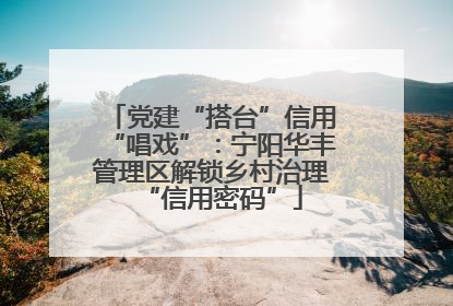 党建“搭台”信用“唱戏”：宁阳华丰管理区解锁乡村治理“信用密码”