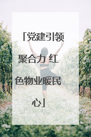 党建引领聚合力 红色物业暖民心