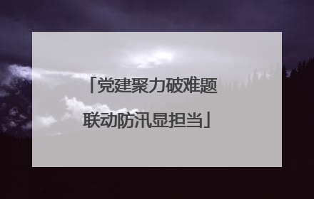 党建聚力破难题 联动防汛显担当