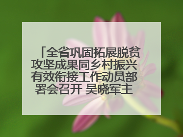 全省巩固拓展脱贫攻坚成果同乡村振兴有效衔接工作动员部署会召开 吴晓军主持并讲话 罗东川作安排部署