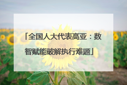 全国人大代表高亚：数智赋能破解执行难题