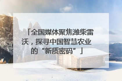 全国媒体聚焦潍柴雷沃，探寻中国智慧农业的“新质密码”