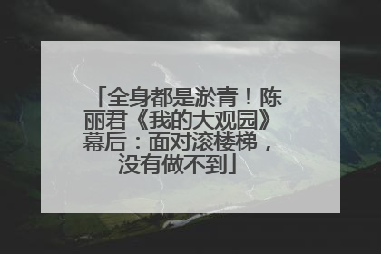 全身都是淤青！陈丽君《我的大观园》幕后：面对滚楼梯，没有做不到