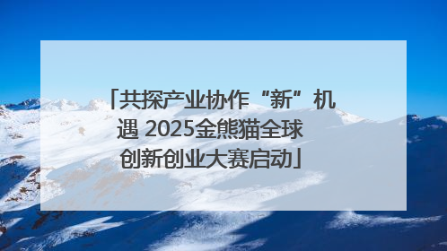 共探产业协作“新”机遇 2025金熊猫全球创新创业大赛启动