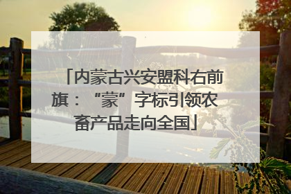 内蒙古兴安盟科右前旗：“蒙”字标引领农畜产品走向全国