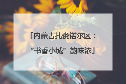 内蒙古扎赉诺尔区：“书香小城”韵味浓