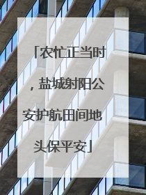 农忙正当时，盐城射阳公安护航田间地头保平安
