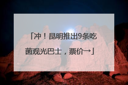 冲！昆明推出9条吃菌观光巴士，票价→