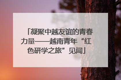凝聚中越友谊的青春力量——越南青年“红色研学之旅”见闻