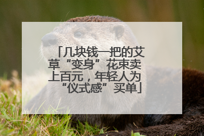 几块钱一把的艾草“变身”花束卖上百元，年轻人为“仪式感”买单