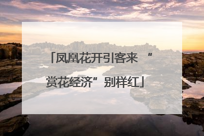 凤凰花开引客来 “赏花经济”别样红