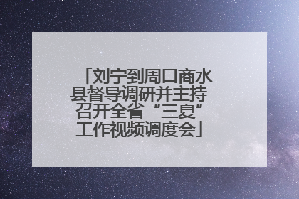 刘宁到周口商水县督导调研并主持召开全省“三夏”工作视频调度会