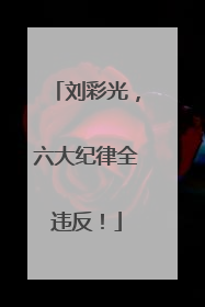 刘彩光，六大纪律全违反！