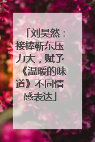 刘昊然：接棒靳东压力大，赋予《温暖的味道》不同情感表达