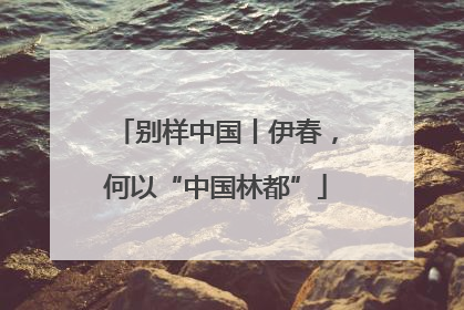 别样中国丨伊春，何以“中国林都”
