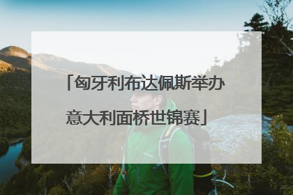 匈牙利布达佩斯举办意大利面桥世锦赛