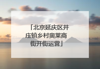 北京延庆区井庄镇乡村奥莱商街开街运营