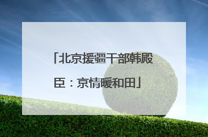 北京援疆干部韩殿臣：京情暖和田
