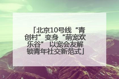 北京10号线“青创村”变身“萌宠欢乐谷” 以宠会友解锁青年社交新范式