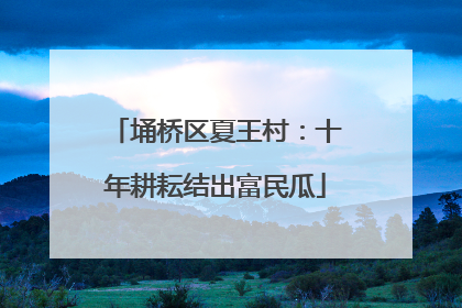 埇桥区夏王村：十年耕耘结出富民瓜