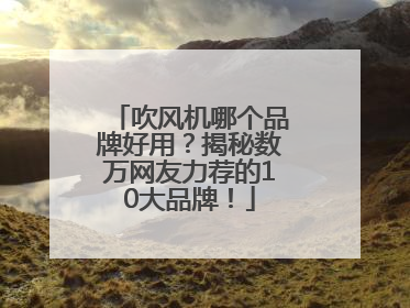 吹风机哪个品牌好用？揭秘数万网友力荐的10大品牌！