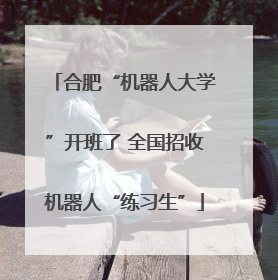 合肥“机器人大学”开班了 全国招收机器人“练习生”