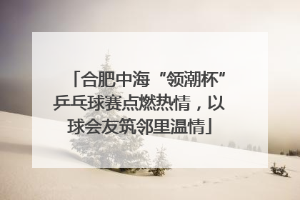 合肥中海“领潮杯”乒乓球赛点燃热情，以球会友筑邻里温情
