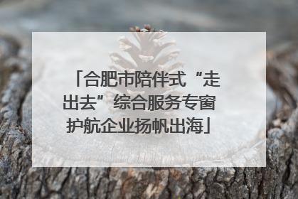 合肥市陪伴式“走出去”综合服务专窗护航企业扬帆出海