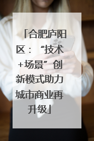 合肥庐阳区：“技术+场景”创新模式助力城市商业再升级