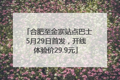 合肥至金寨站点巴士5月29日首发，开线体验价29.9元