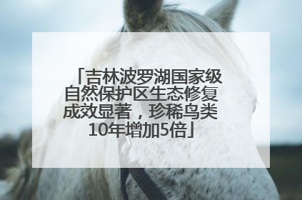 吉林波罗湖国家级自然保护区生态修复成效显著，珍稀鸟类10年增加5倍