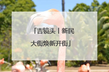 吉镜头丨新民大街焕新开街
