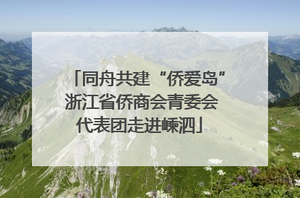 同舟共建“侨爱岛” 浙江省侨商会青委会代表团走进嵊泗
