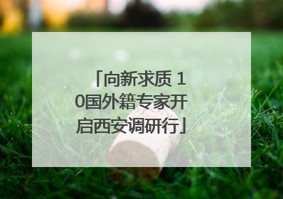 向新求质 10国外籍专家开启西安调研行